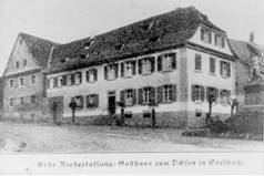 Ochsen in Seelbach